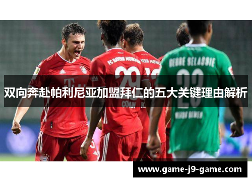 双向奔赴帕利尼亚加盟拜仁的五大关键理由解析