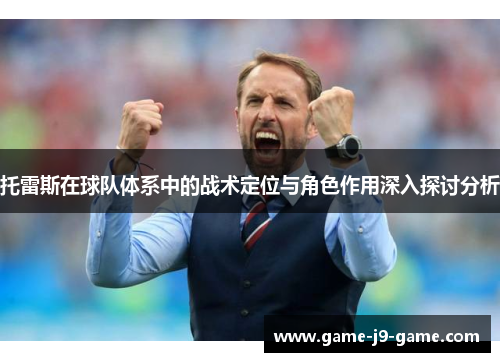 托雷斯在球队体系中的战术定位与角色作用深入探讨分析