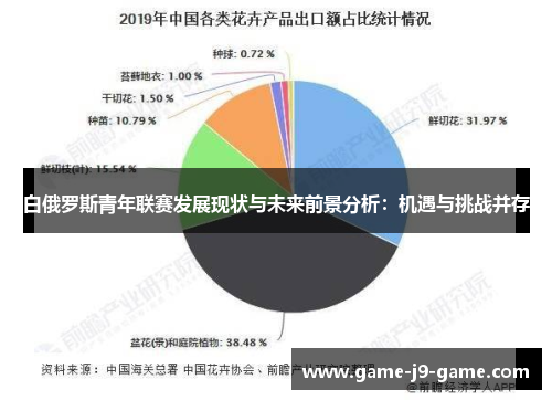 白俄罗斯青年联赛发展现状与未来前景分析：机遇与挑战并存